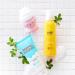 Etude House Exfoliating Jellyfish Silicon Brush - My Beauty Tool | Gentle Facial Cleanser - Buy Online on GoSupps.com
