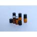 12 Mini Amber Glass Roller Bottles with Black Caps & Steel Balls - Essential Oil & Perfume Storage Jars (2ml) - Perfect for Aromatherapy Samples - Buy Online on GoSupps.com