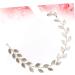 minkissy Gold Headband Hair Bands for Women's Hair Gold Tiara Headwear for Women Crystal Headpiece Hair Jewels for Women Bridal Headpiece Hair Accessory for Women Wedding Bride Accessories - Buy Online on GoSupps.com