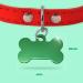 Personalized Bone-Shaped Dog & Cat Pendants | Ibera Gifts | Engraved Collar Name Tags in Green Crown Design - Buy Online on GoSupps.com