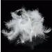 ROSE FEATHER Bulk Goose Down 4lb - Hypoallergenic Pillow Filling for Repair & Restuff - Ideal for Couch Cushions, Comforters, Jackets - Premium White Goose Down Stuffing 5/95 Ratio - 1800g DIY Fill - Buy Online on GoSupps.com