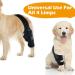Petmingham Dog Knee Brace for ACL Knee Cap Dislocation Arthritis - Joint Pain Muscle Sore - Better Recovery - Reduces Pain and Inflammation -Adjustable Dog Rear Leg Braces (Size: S) Small - Buy Online on GoSupps.com