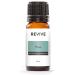 Pine Essential Oil by Revive Essential Oils - 100% Pure Therapeutic Grade for Diffuser Humidifier Massage Aromatherapy Skin & Hair Care