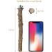 LIMIO Bird Perch 4 PCS - Natural Wood Stand for Parakeets, Parrots, Conures, Budgies - Cage Accessories & Toys - Buy Online on GoSupps.com