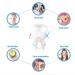 AWAVM 6-Piece Rapid Toothbrush Set | Conical Interdental & Slim Design for Detail Cleaning | International Shipping - Buy Online on GoSupps.com