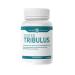 Tested Nutrition Tribulus Capsules | High Potency 750mg Tribulus Terrestris 90% Saponins Capsules | Increased Energy Stamina Performance (90 Capsules)