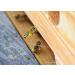 Premium Bees Pollen - 500g Pure & Residue-Free | Sweet Mild Flavor | High-Quality Beekeeping Product - Buy Online on GoSupps.com