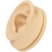 Human Right Ear Model Human Ear Model Clear Internal External Structure Soft Silicone Waterproof for Ear Learning for Suppliers - Buy Online on GoSupps.com