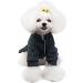 Rayminsino Pet Wool Clothing - Stylish Princess Rock Flower Plaid Sweater for Puppies & Medium Dogs - Warm Cotton Jacket for Cats in Gray - Buy Online on GoSupps.com