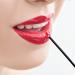Honbay 100PCS Disposable Lip Brushes - Lip Gloss Applicators & Lipstick Wands for Women | Quality Makeup Brushes in 2 Colors - International Shipping Available - Buy Online on GoSupps.com
