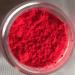 Neon Luminous Petal Dust Set - 4g Containers in 8 Vibrant Colors - Oh! Sweet Art Corp - Buy Online on GoSupps.com