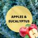 Black Canyon Apples & Eucalyptus Scented Body Spray with Jojoba Oil 1 Gal - Buy Online on GoSupps.com