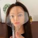 Plastic Hairspray Face Shield Hair Salon Haircut Hair Dye Face Spray Shield Coloring Shade Tools for Face Eye Protect (Transparent) - Buy Online on GoSupps.com