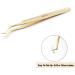 Professional Stainless Steel Lash Tweezers for Mega Volume and Mink Eyelashes - Gold-K06 - Buy Online on GoSupps.com
