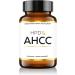 HPD Rx Performance Bundle | AHCC & ONE Multivitamin - Buy Online on GoSupps.com