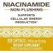 Nature's Way Niacinamide 500mg - Pack of 3 | Triple Pack for Skin Health and Wellness - Buy Online on GoSupps.com
