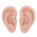 Silicone Ear Model - Medium Skin Color for Earrings Display and Piercing Practice - Buy Online on GoSupps.com