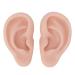 Realistic Silicone Ear Model - Reusable Flexible Display for Earrings | Medium Skin Tone | Perfect for Exercise & Training - Buy Online on GoSupps.com