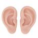 Vomeko 1 Pair Silicone Ear Model Human Ear Model Left and Right Soft Flexible Model Fake Ear Piercing Practice Ear Model Simulation Display Props Teaching Tools (Medium)
