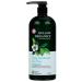 Avalon Organics Scalp Treatment Shampoo  Tea Tree  32 Oz 32 Fl Oz (Pack of 1)