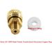 Flylock Universal 8mm BSPP Male Thread Female Quick-Disconnect Copper Plug Adapter - PCP Paintball Charging Fittings - Buy Online on GoSupps.com