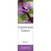 Jan de Vries Concentration Essence 30ml - Flower Essence to Quieten a Busy Mind, Focus Thoughts | Peppermint, Nasturtium, Hornbeam - Buy Online on GoSupps.com