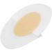 Foot Care Sticker for Blister Prevention - Antiwear Shoe Stickers for Leather Shoes (Skin Color with Cushion) | International Shipping Available - Buy Online on GoSupps.com