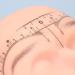 VALICLUD 10 Pi ces R gle Sourcils Blanche Outil de Mesure Pr cis pour Dessiner la Ligne des Sourcils Mod le de Positionnement Pratique pour Maquillage et Tatouage Cartographie pour - Buy Online on GoSupps.com