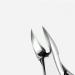 UNbit Nail Clipper Stainless Steel Eagle Mouth Nail Clipper Inlaid Nail Clipper Nail Clipper Nail Clipper Manicure Manicure Tool - Buy Online on GoSupps.com