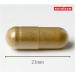 Nutridom Dandelion Root Capsules | 10 000mg Per Day | 10x Extra Strength Traditional Herbal Supplement for Liver Detox & Cleanse Non-GMO Gluten-Free Soy-Free Dairy-Free Made in Canada 60-Day-Supply (120 Veggie Capsules) - Buy Online on GoSupps.com