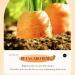 Carrot Eye Cream Anti Dark Circles Removal Eyes Bags Improves Dryness Moisturizing Firming Eyes Skin Care - Buy Online on GoSupps.com