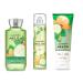Bath & Body Works - Cucumber Melon - 3 pc Bundle