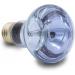 Terra Exotica Neo Spot - UV Reflector Spotlight for Terrariums (25W) | Ideal Heat & Light Source for Inhabitants - Ships Internationally - Buy Online on GoSupps.com