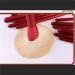 Buy Snow White Makeup Set - Red Brush Collection for Loose Powder Eye Shadow & Blush | International Shipping Available - Buy Online on GoSupps.com