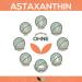 Astaxanthin 16 mg Capsules | 60 Vegan Capsules | High Bioavailability from Haematococcus Pluvialis | Best Quality Supplement - Buy Online on GoSupps.com