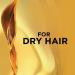 L Or al Paris Hair Expertise Extraordinary Oil Nourishing Mask 300 ml (Pack of 1) Packaging May Vary - Buy Online on GoSupps.com