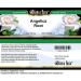 Angelica Root - Cream (2 oz ZIN: 428104) - 2 Pack - Buy Online on GoSupps.com