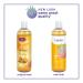 Life-flo Pure Apricot Oil 16 fl oz - Natural Skin Care Moisturizer - Buy Online on GoSupps.com