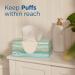 Puffs Plus Lotion Facial Tissues - 24 Family Boxes, 2976 Total Tissues - 6 Count (Pack of 4) - Buy Online on GoSupps.com