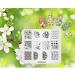 KADS Nail Art Stamping Plate Set - Night Sky, Flower, Beach Designs | 4Pcs Template Image Plates for Salon-quality Nail Designs - Buy Online on GoSupps.com