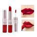 ICATHUNY 2 in 1 Matte Lipstick & Lip Gloss Combo - Long Lasting, Waterproof & Highly Pigmented in Red 05 - For Women & Girls - Buy Online on GoSupps.com