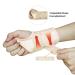 HYCOPROT Wrist Brace Night Sleep Support Splint Compression Sleeve for Wrist Pain Relief - Beige S/M-Right Hand - Buy Online on GoSupps.com