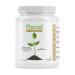 Planted Vegan Protein Powder | 20g Chocolate Pea Protein Powder | Low Sugar Plant Protein Powder | Gluten and Dairy Free Pea Protein Isolate | Non-GMO | 20 Servings Unflavored