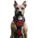 No Pull Dog Harness Adjustable Breathable Reflective Soft Padded Dog Harness Chest Harness for Dogs (Red M) M Red
