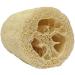 Natural Loofah Body Scrub (3 Pack, 5 inches) with Shower Gel Foamer Bottle - 1.7 oz - Buy Online on GoSupps.com