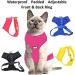 Dexil Colour Coded Cat Harness Warning Alert Vest Padded and Water Resistant Red CAUTION (S-M) Small-Medium Red CAUTION - Buy Online on GoSupps.com