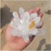 Natural White Transparent Crystal Cluster Stone ore Specimen demagnetization Stone Purification Ment Stone decoratio Crystal Cluster (Size : 400-500g) - Buy Online on GoSupps.com