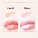 Buy Elegant Glossy Premium Lip Balm (Rose) - Plumping Hydrating & Nourishing - International Shipping Available - Buy Online on GoSupps.com