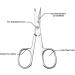 DOETYD Cuticle Nail Scissors Stainless Steel Manicure Scissors Professional Curved Blade Grooming Beauty Scissors for Toenail Pedicure Skin Hair Trimming - Buy Online on GoSupps.com
