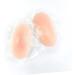 GALPADA 4pcs Silicone Beauty Shoulder Pad Invisible Shoulder Pads Adhesive Shoulder Pads Invisible Shoulder Cushion Enhancer Silicone Shoulder Pads Cloth Shoulder Pads Shoulder Patches - Buy Online on GoSupps.com